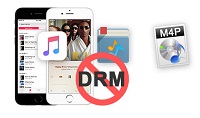 itunes drm audio converter