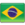 Braizilian Portuguese